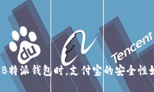 使用B特派钱包时，支付宝的安全性如何？