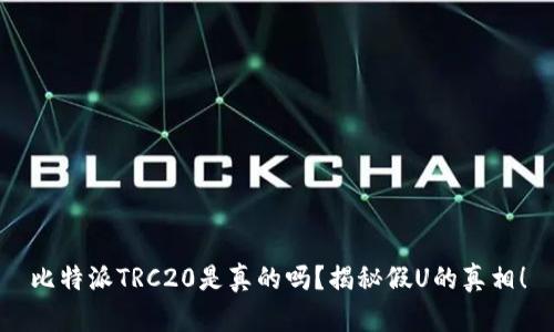 比特派TRC20是真的吗？揭秘假U的真相！
