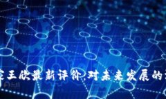 区块链专家王欣最新评价