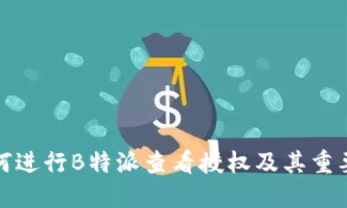 如何进行B特派查看授权及其重要性