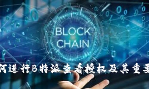 如何进行B特派查看授权及其重要性