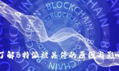 了解B特派被关停的原因与