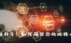 比特派验证种子: 如何确保