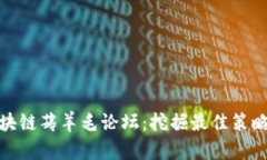 最新区块链薅羊毛论坛：