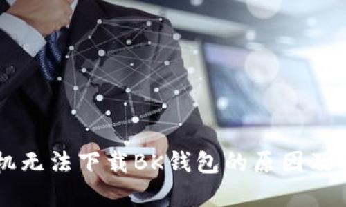 苹果手机无法下载BK钱包的原因及解决方法