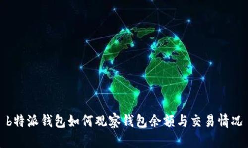 b特派钱包如何观察钱包余额与交易情况