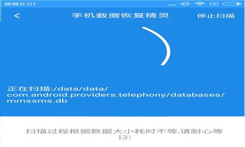 如何下载和使用BitP国际版：全面指南