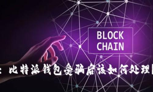 : 比特派钱包受骗后该如何处理？