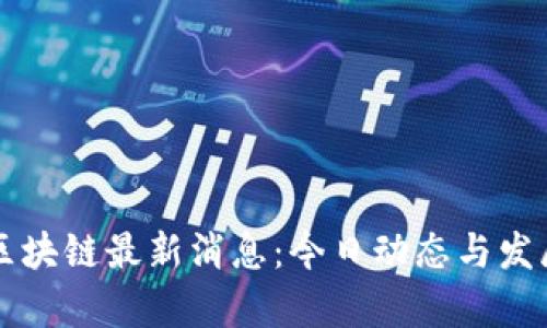 新南区块链最新消息：今日动态与发展分析