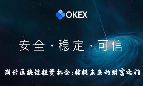 新兴区块链投资机会：捕捉未来的财富之门