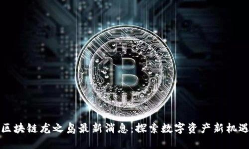 区块链龙之岛最新消息：探索数字资产新机遇