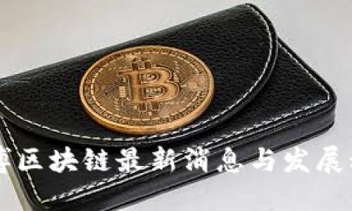 唐博区块链最新消息与发展动态