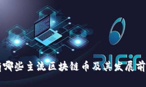 国内有哪些主流区块链币及其发展前景分析