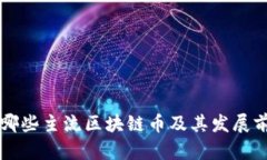 国内有哪些主流区块链币