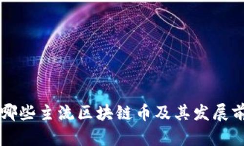 国内有哪些主流区块链币及其发展前景分析