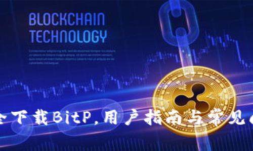 如何安全下载BitP，用户指南与常见问题解析
