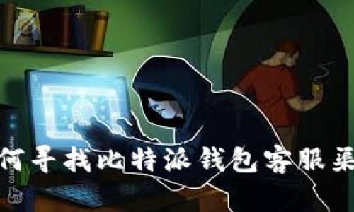如何寻找比特派钱包客服渠道