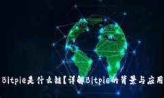 Bitpie是什么链？详解Bitp