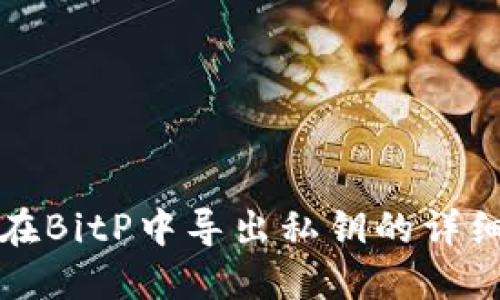 如何在BitP中导出私钥的详细指南