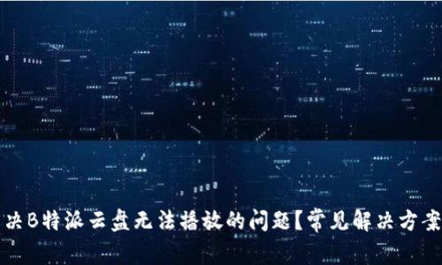 如何解决B特派云盘无法播放的问题？常见解决方案与技巧