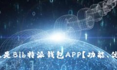 深入分析：什么是Bib特派