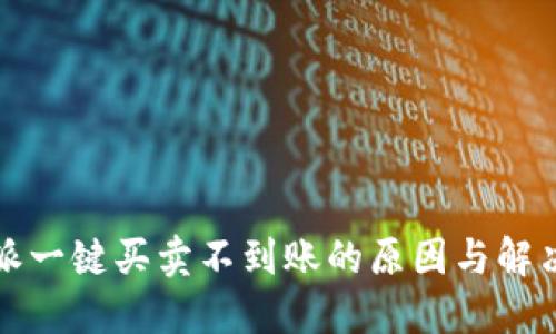 比特派一键买卖不到账的原因与解决方案