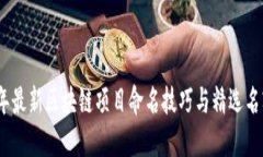 2023年最新区块链项目命名