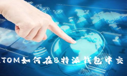 ### ATOM如何在B特派钱包中交易与使用