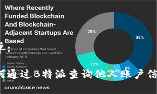 表单: 

如何通过B特派查询他人账户信息？