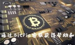 如何通过BitPie客服获得帮