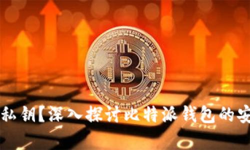 比特派没有私钥？深入探讨比特派钱包的安全性与功能