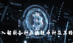 深入解析各种区块链币种