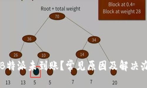 为什么B特派未到账？常见原因及解决办法解析