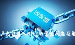 苹果用户无法进入BitP的常