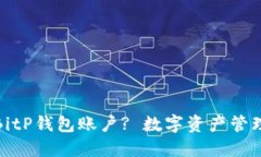 什么是BitP钱包账户? 数字