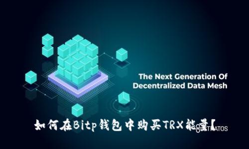 如何在Bitp钱包中购买TRX能量？