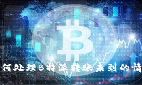  如何处理B特派转账未到的情况？