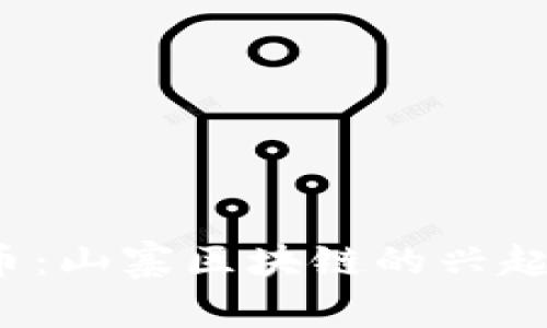  雷达币：山寨区块链的兴起与挑战