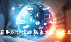 如何有效获取BitP官方联系