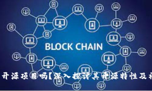 BitP 是开源项目吗？深入探讨其开源特性及社区支持