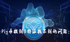 如何解决Pig币提到B特派找