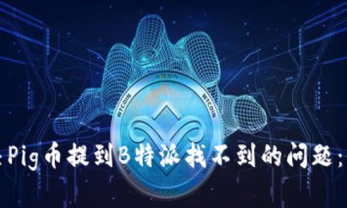 如何解决Pig币提到B特派找不到的问题：全面指南