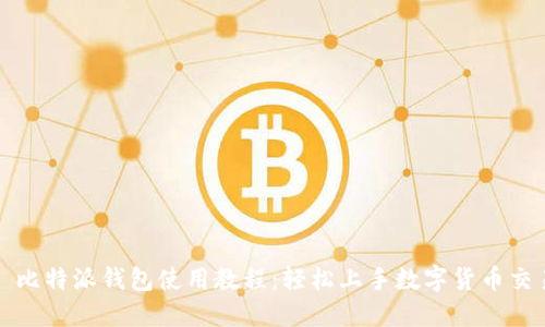 : 比特派钱包使用教程：轻松上手数字货币交易