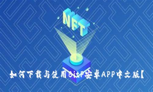 如何下载与使用BitP安卓APP中文版？