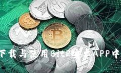 如何下载与使用BitP安卓