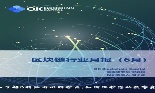 深入了解B特派与比特护盾：如何保护您的数字资产？
