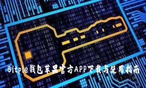 Bitpie钱包苹果官方APP下载与使用指南