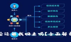 BitP被盗之后还能找回来吗
