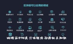 比特派BTC是什么链路及其