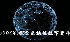 迪拜币（BDC）：探索区块
